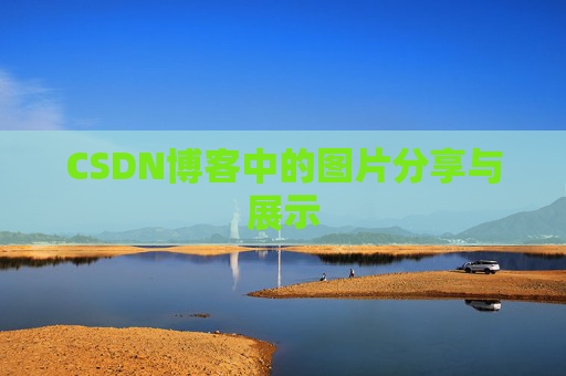 CSDN博客中的图片分享与展示